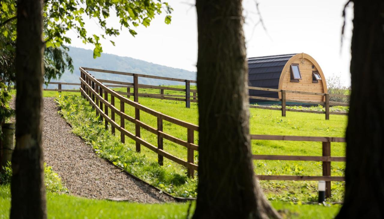 Luxury Two-Bed Glamping Pod In County Clare 2 Villa Kilbane Luaran gambar